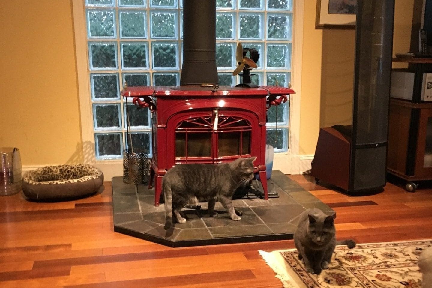 Two cats standing in front of a red stove in a living room.