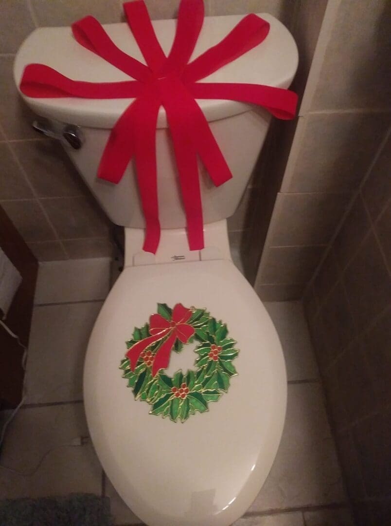 gift wrapped toilet bowl
