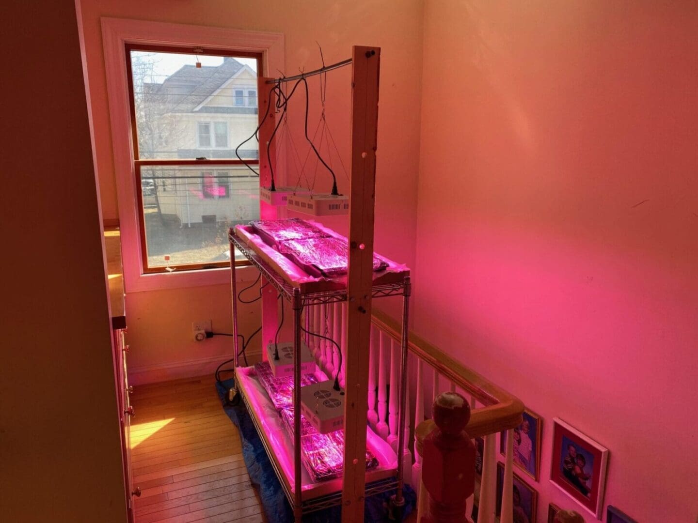 A stairway with a pink light on it.