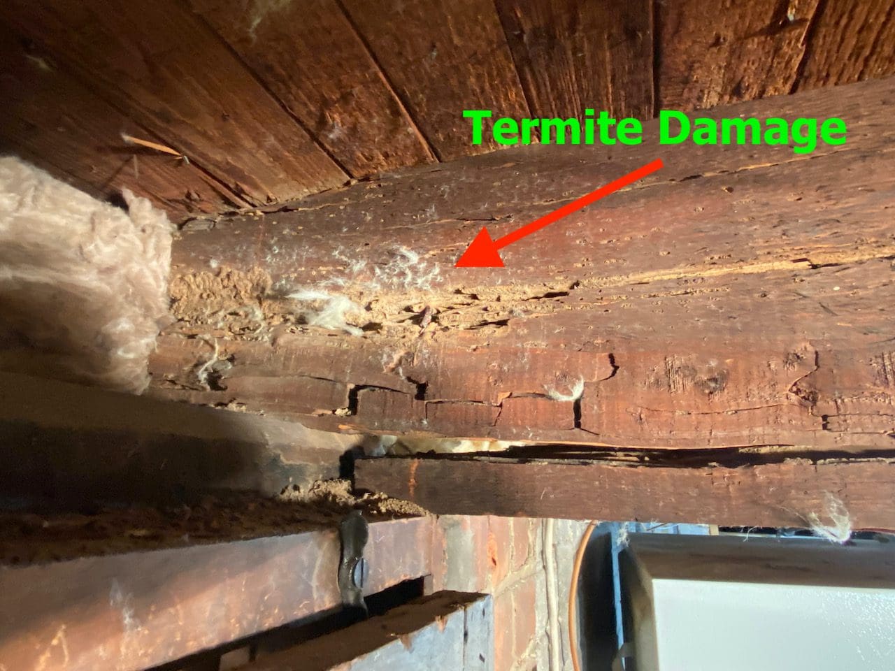 A wood with termite damage
